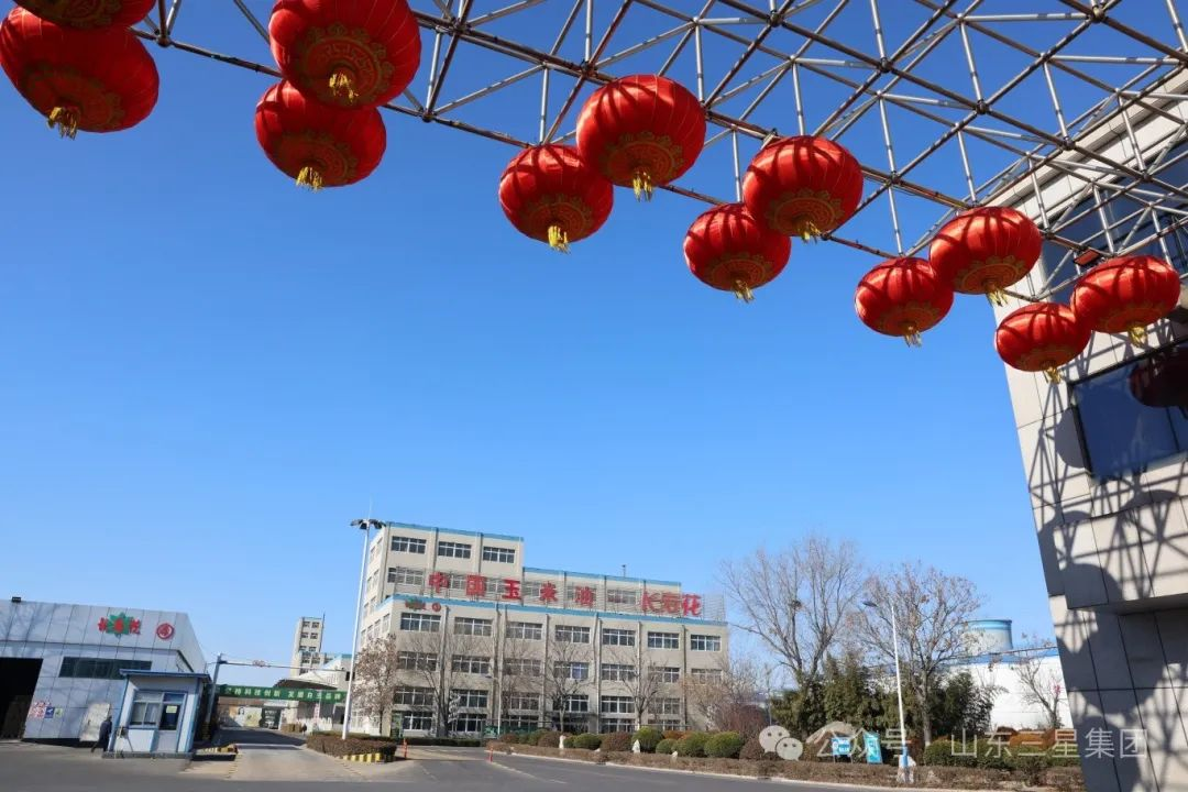山东鸿运国际集团：开足马力忙生产 全力奋战“开门红”