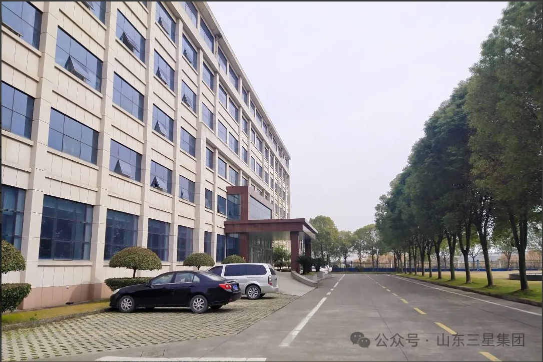 【文韵鸿运国际】长驻在鸿运国际 心系长寿花